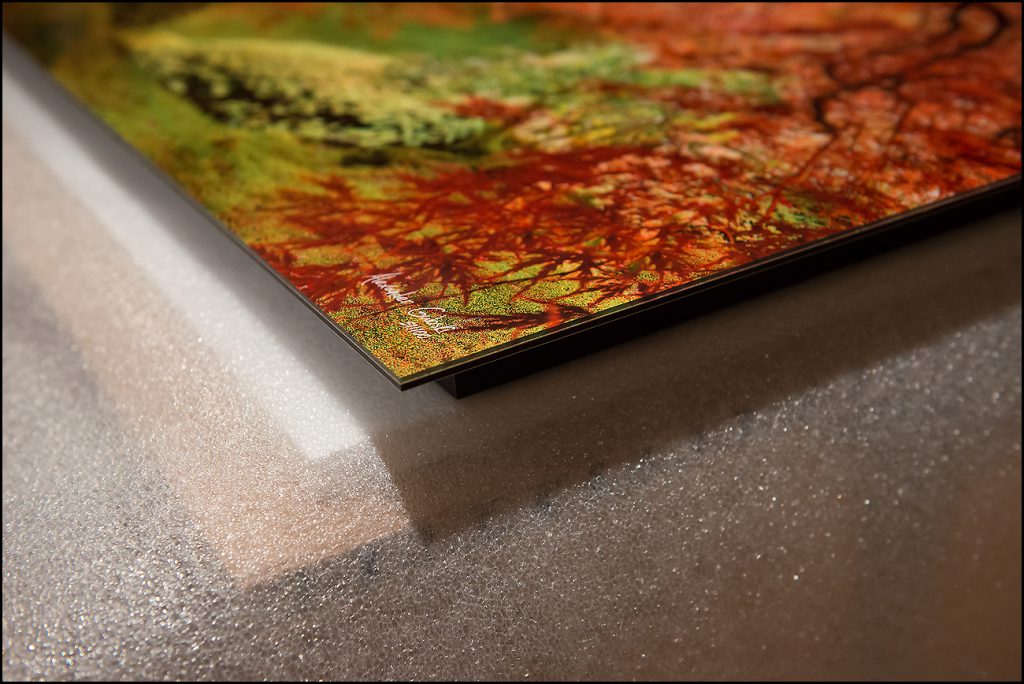 Frameless acrylic print closeup from Alex Gubski print shop.