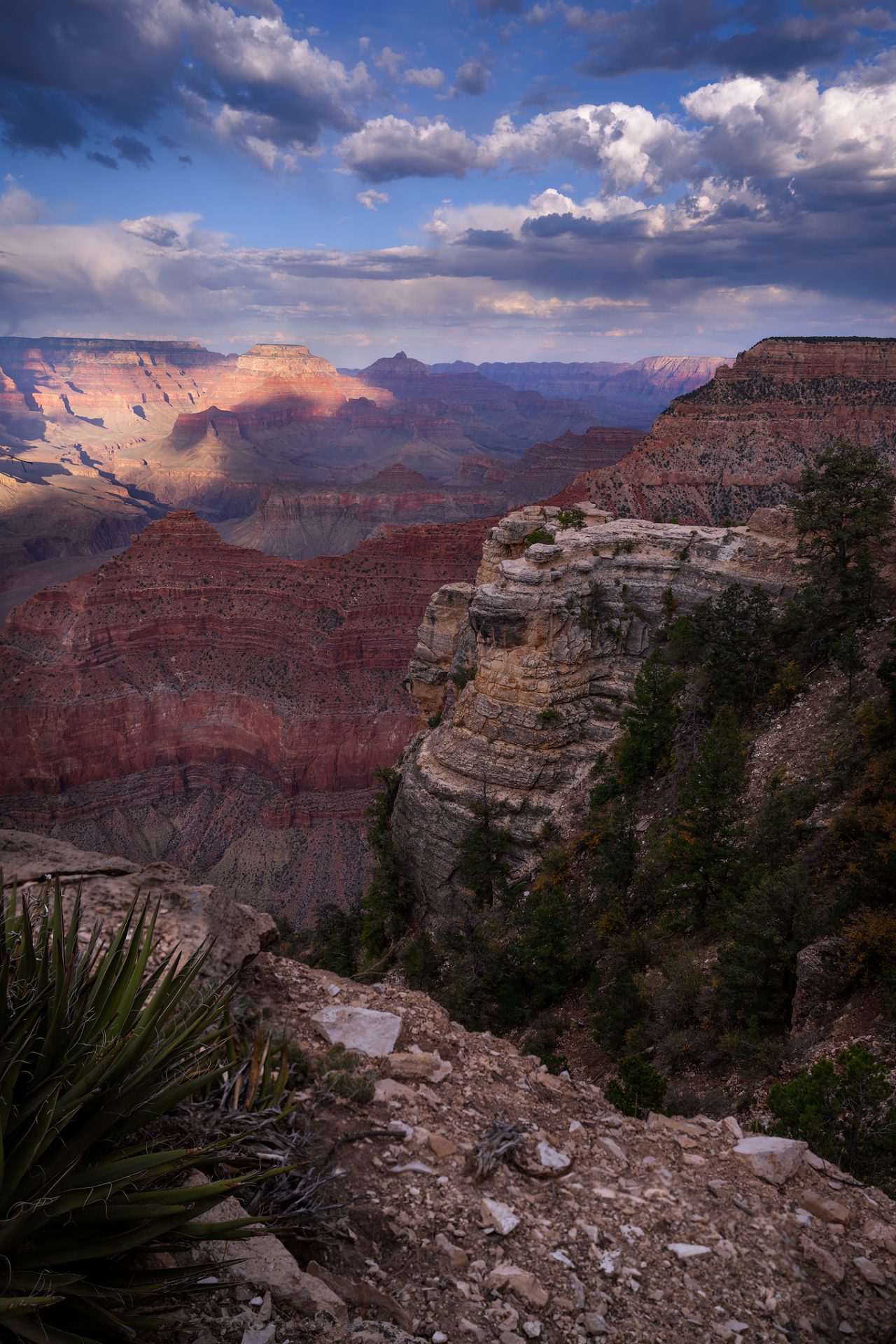 Grand Canyon Views