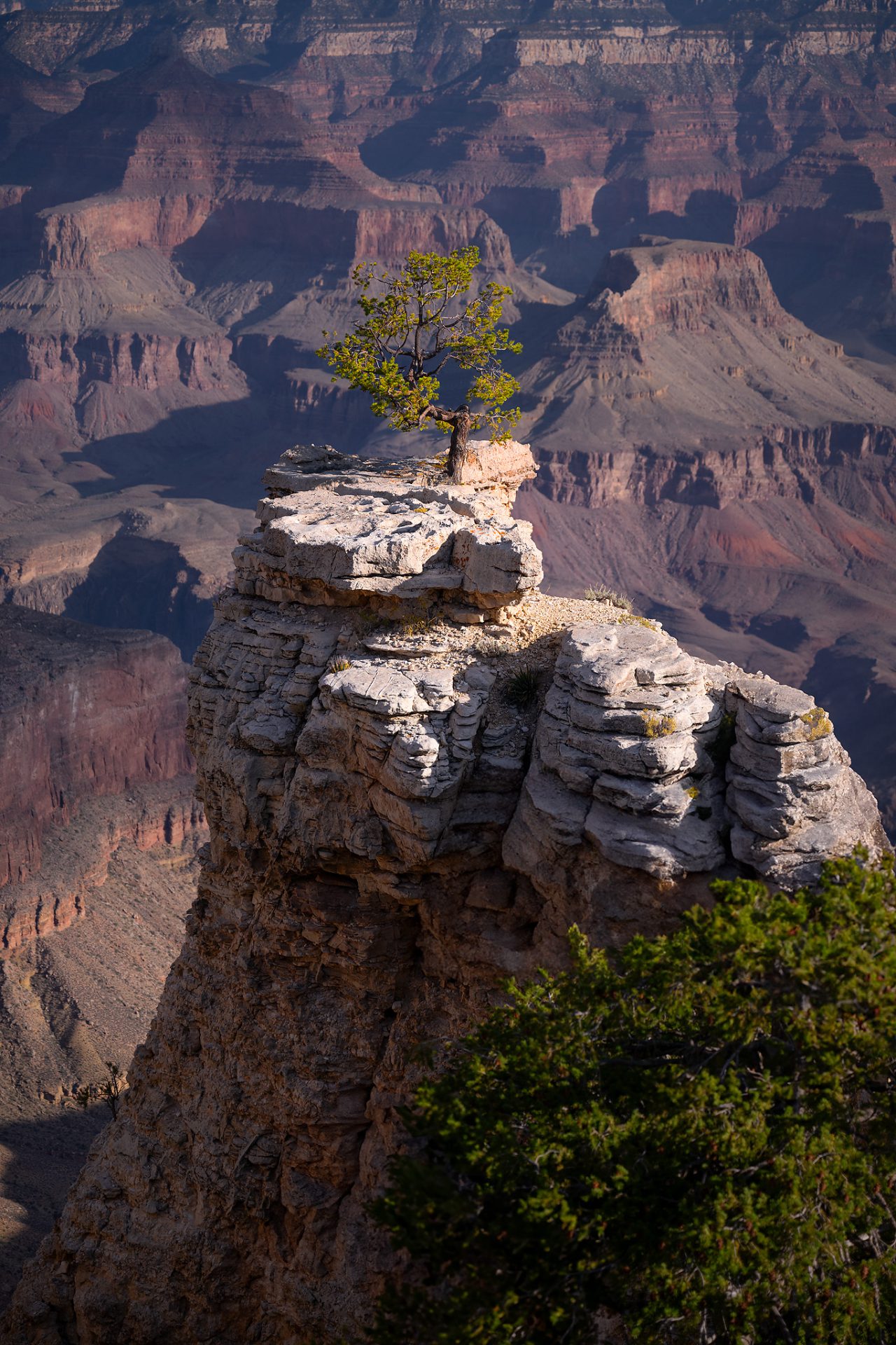 King of the Rock