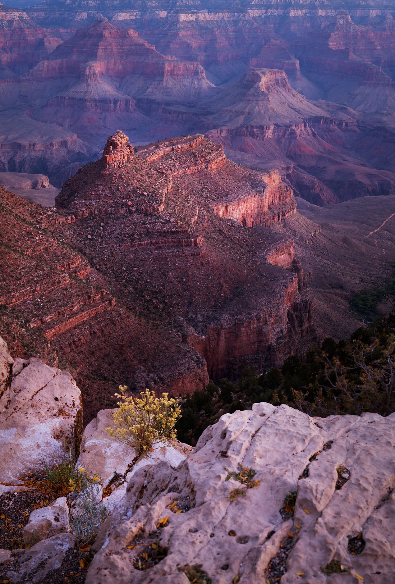 The Castle of Grand Canyon