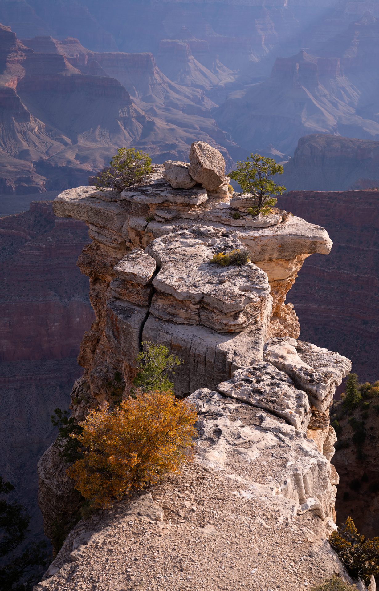 The Spectator of Grand Canyon