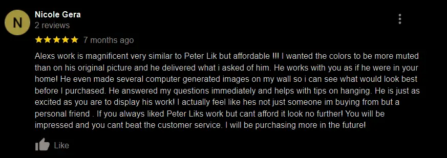 Alex Gubski Photography Google Review