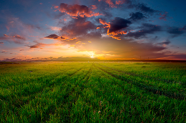 Prairie Sun